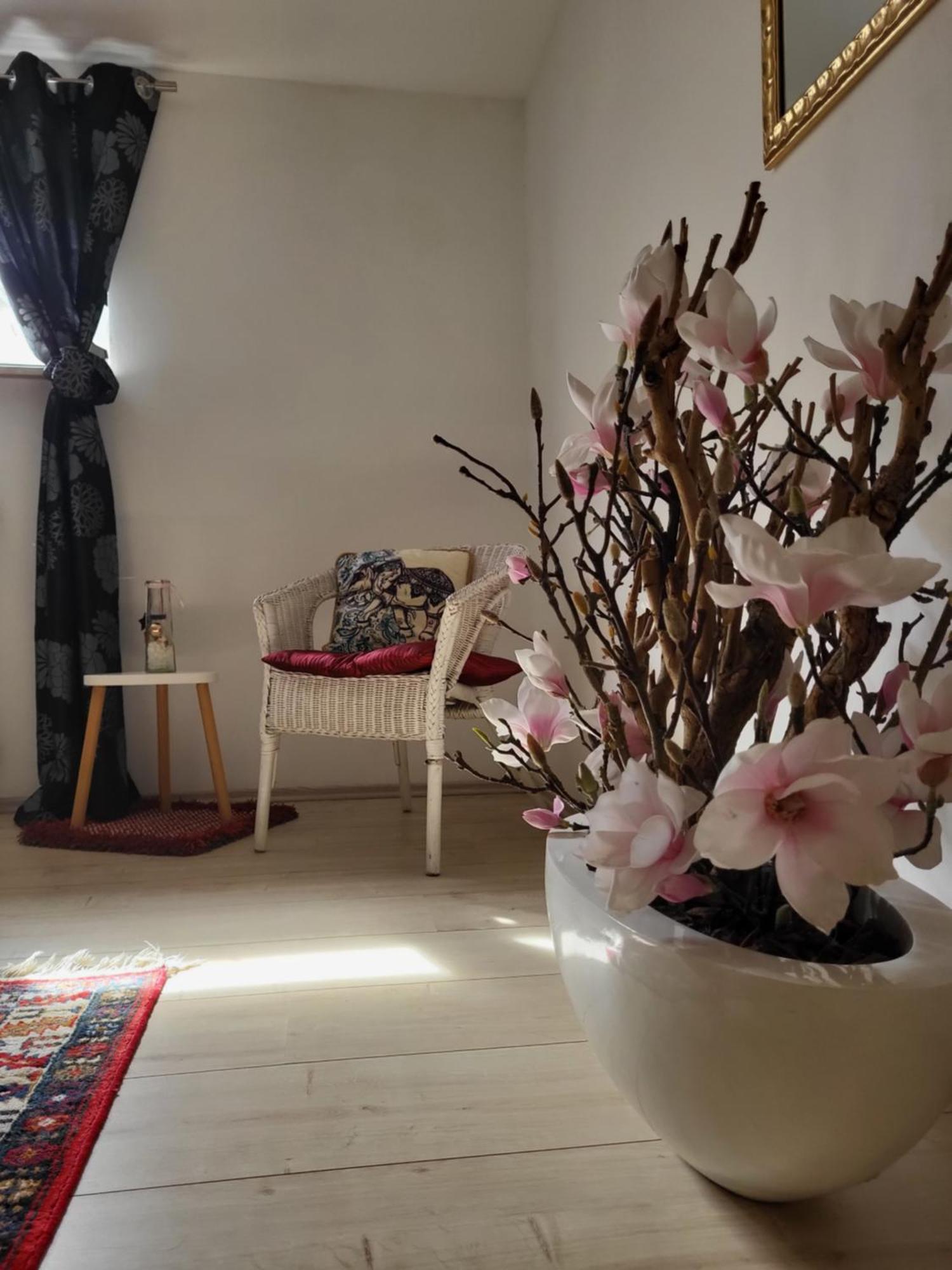 Schmelz Mandelas Cozy Lounge 아파트 외부 사진